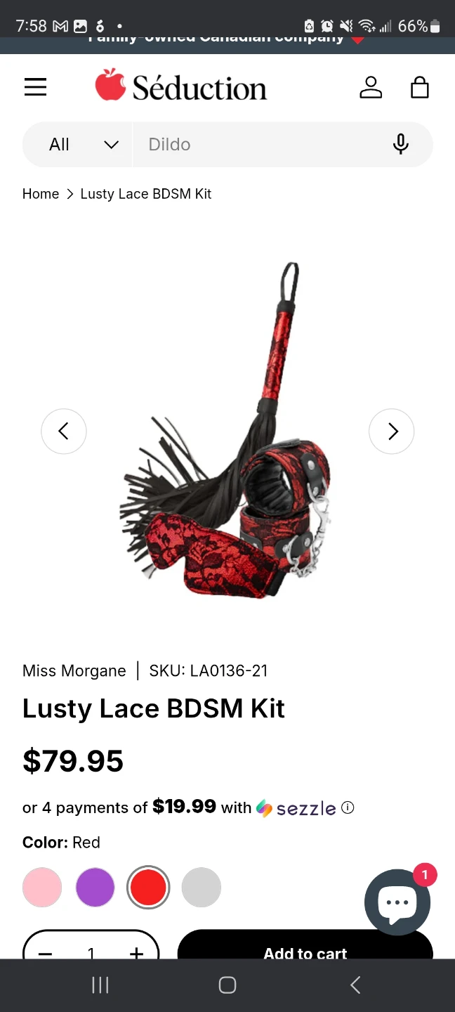 Lusty Lace BDSM Kit - Red 🥕