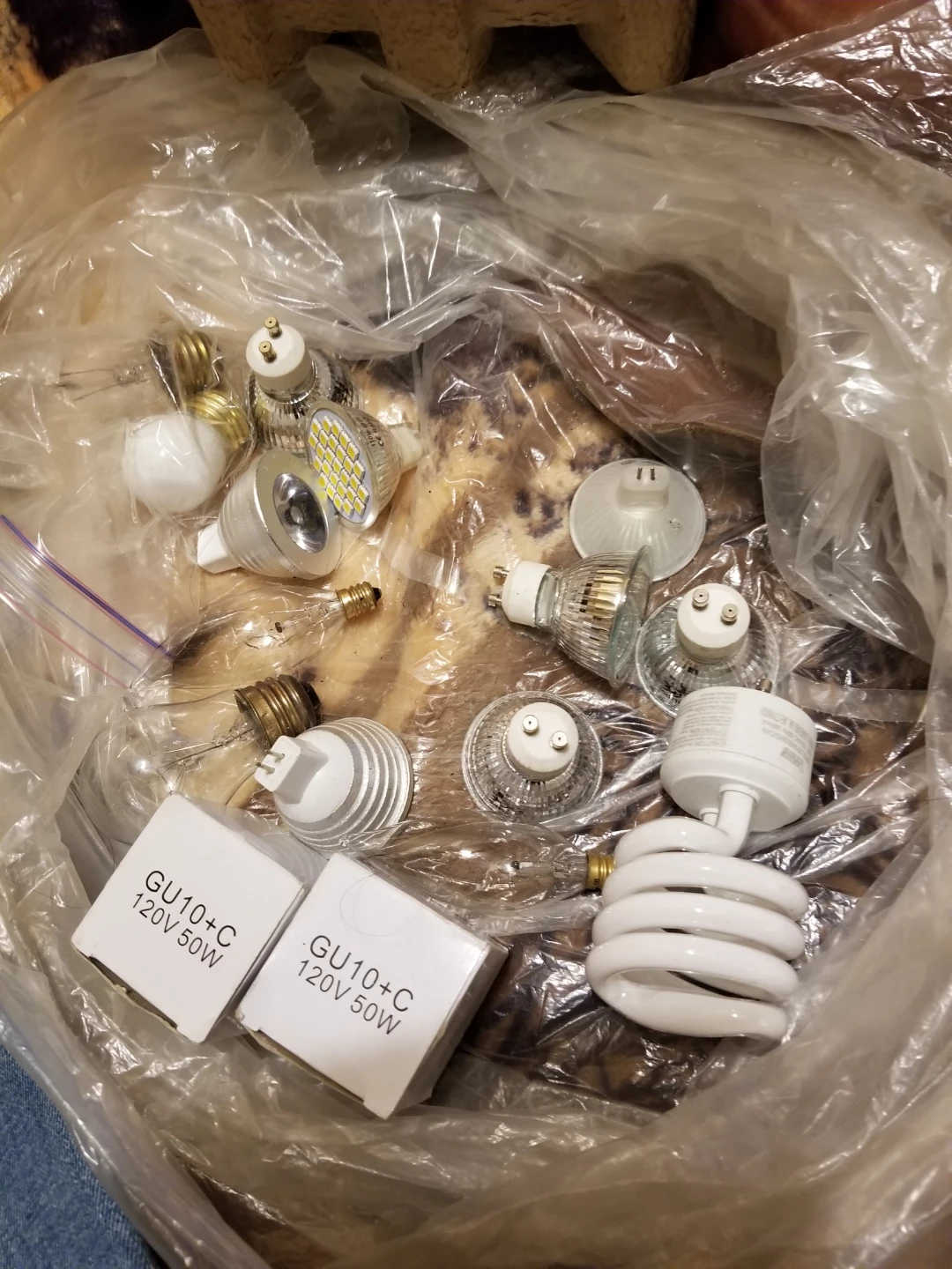 Assorted Light Bulbs FREE - photo 2