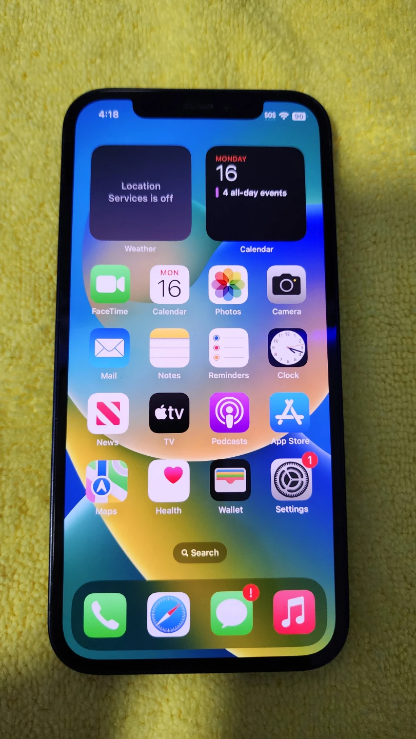 Apple iPhone 12 - photo 4