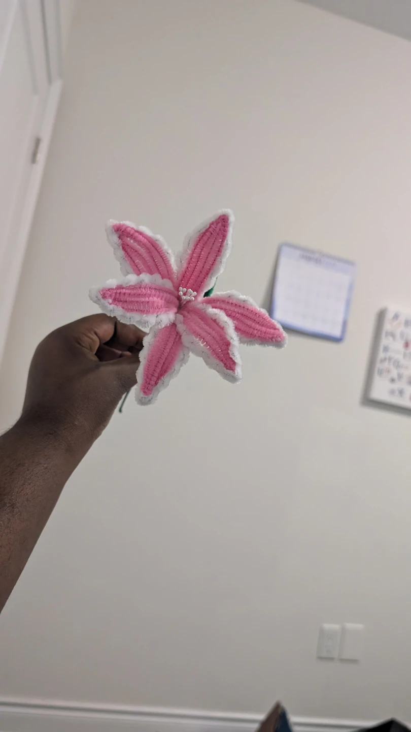 Handmade Chenille Pipe Cleaner Crafts