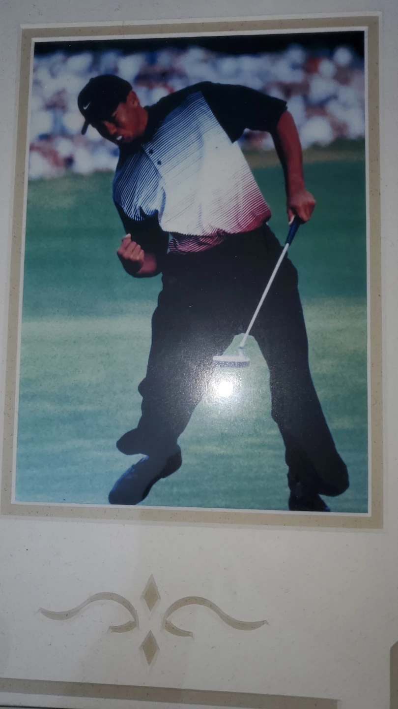 Tiger Woods Framed Golf Photo with Nike Golf Ball - photo 5
