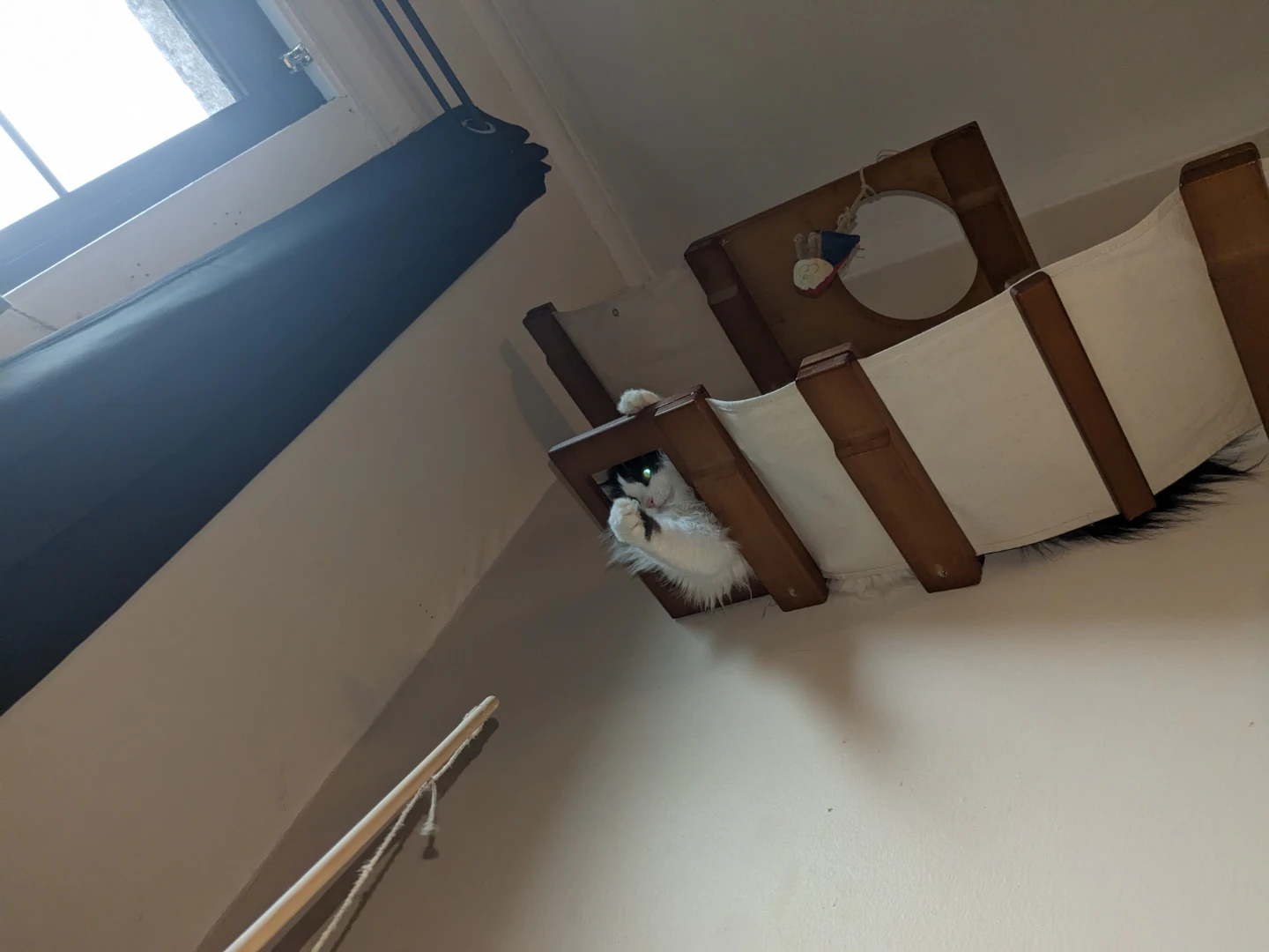 Free Cat Wall Shelves and Hammock Set - photo 5