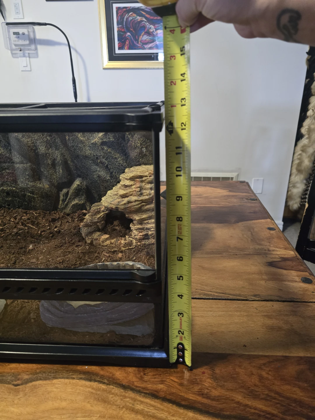 Terrarium Reptile Habitat with Accessories - photo 3