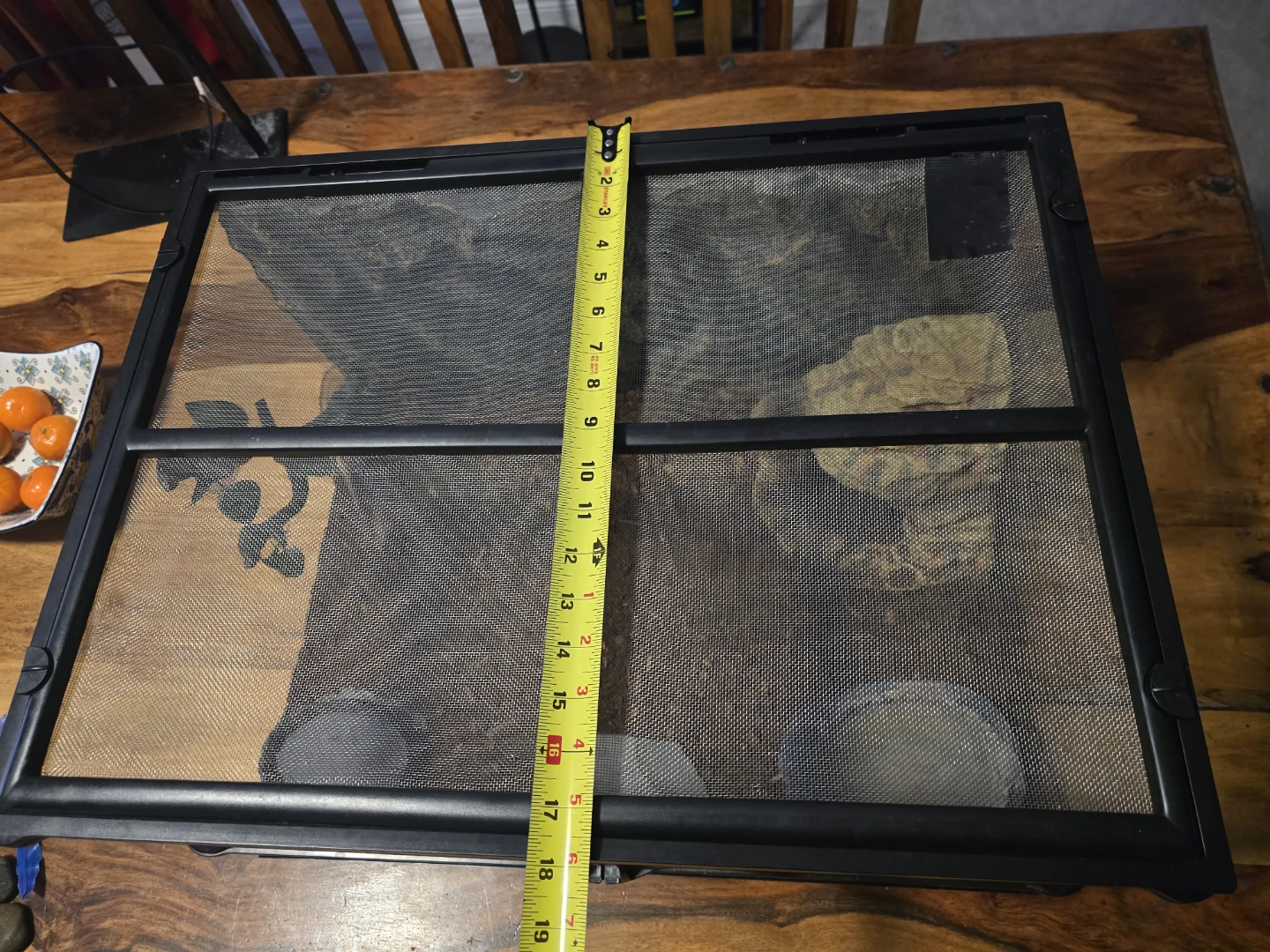 Terrarium Reptile Habitat with Accessories - photo 5