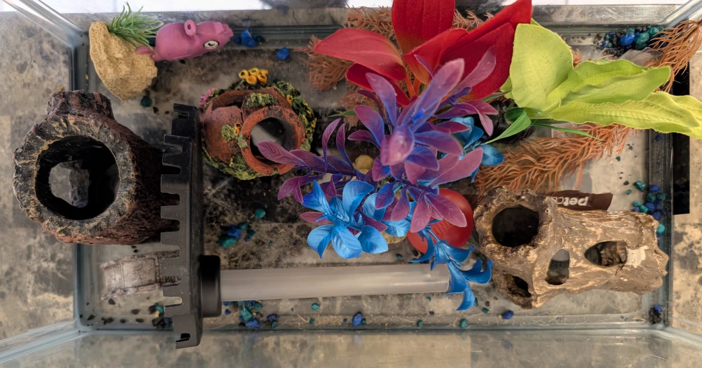 Glass Aquarium Tank with Decor - photo 2