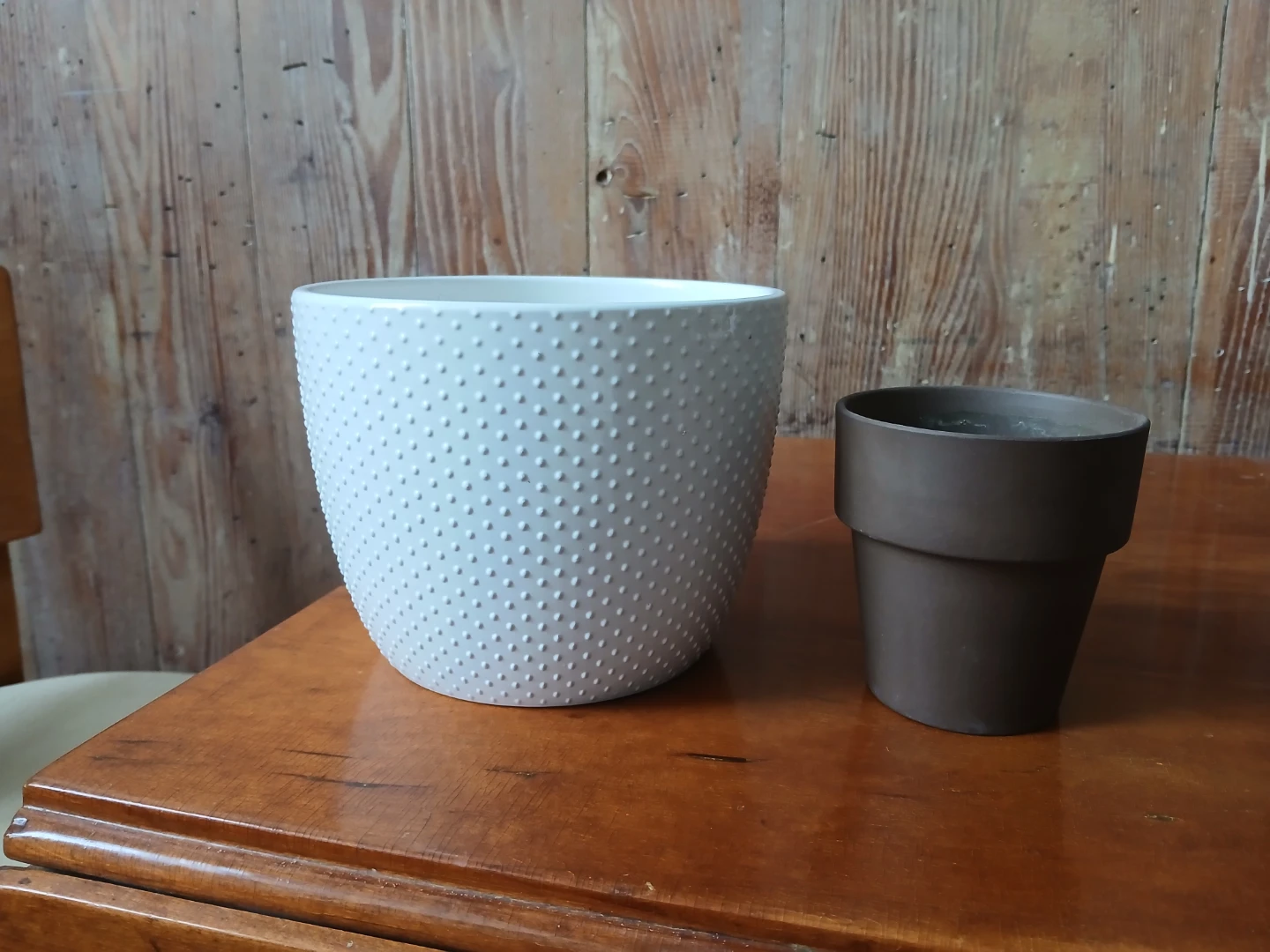 🥕Two pots for plants