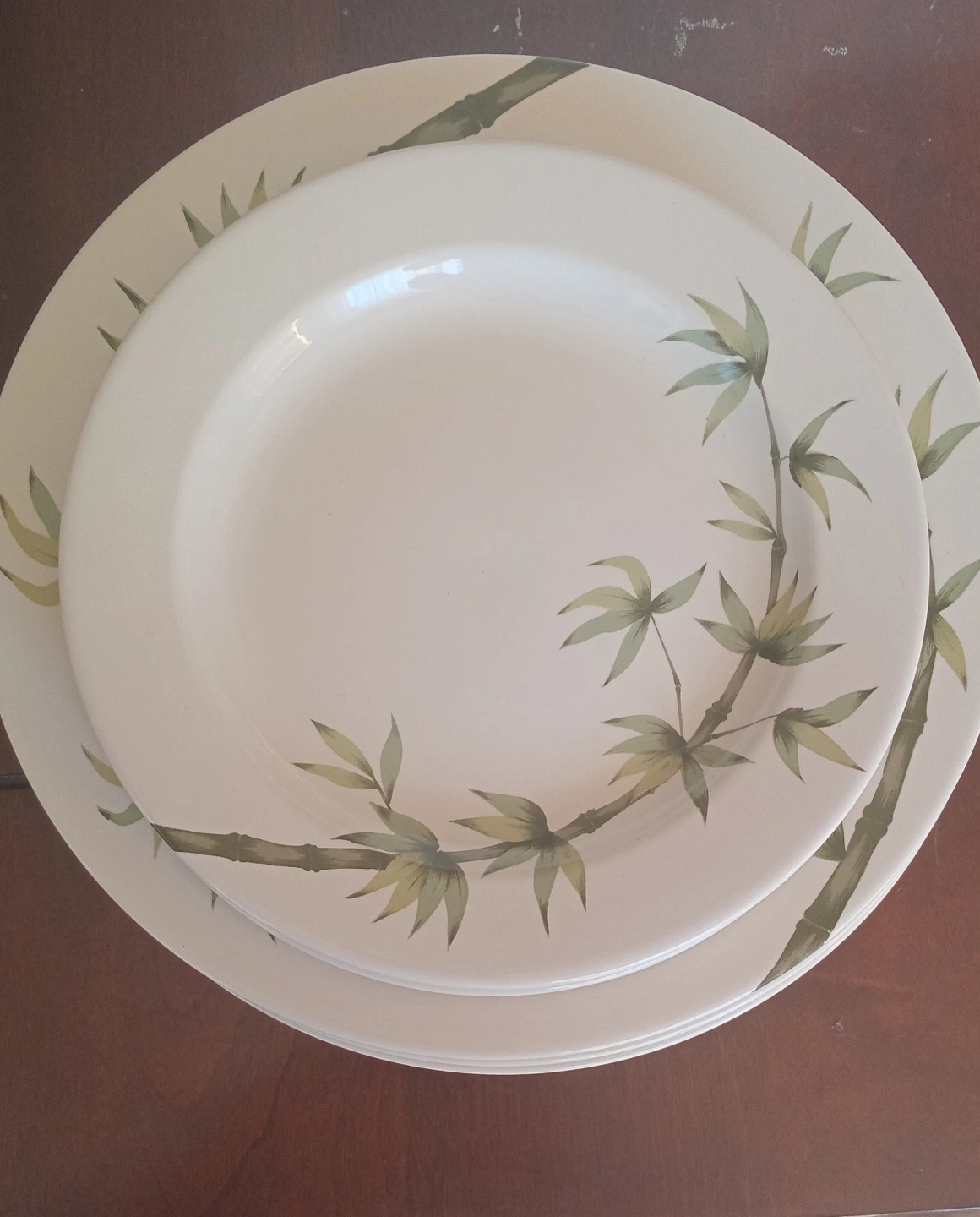 Set of 6 Dinner Plates with Bamboo Design "🏆"
