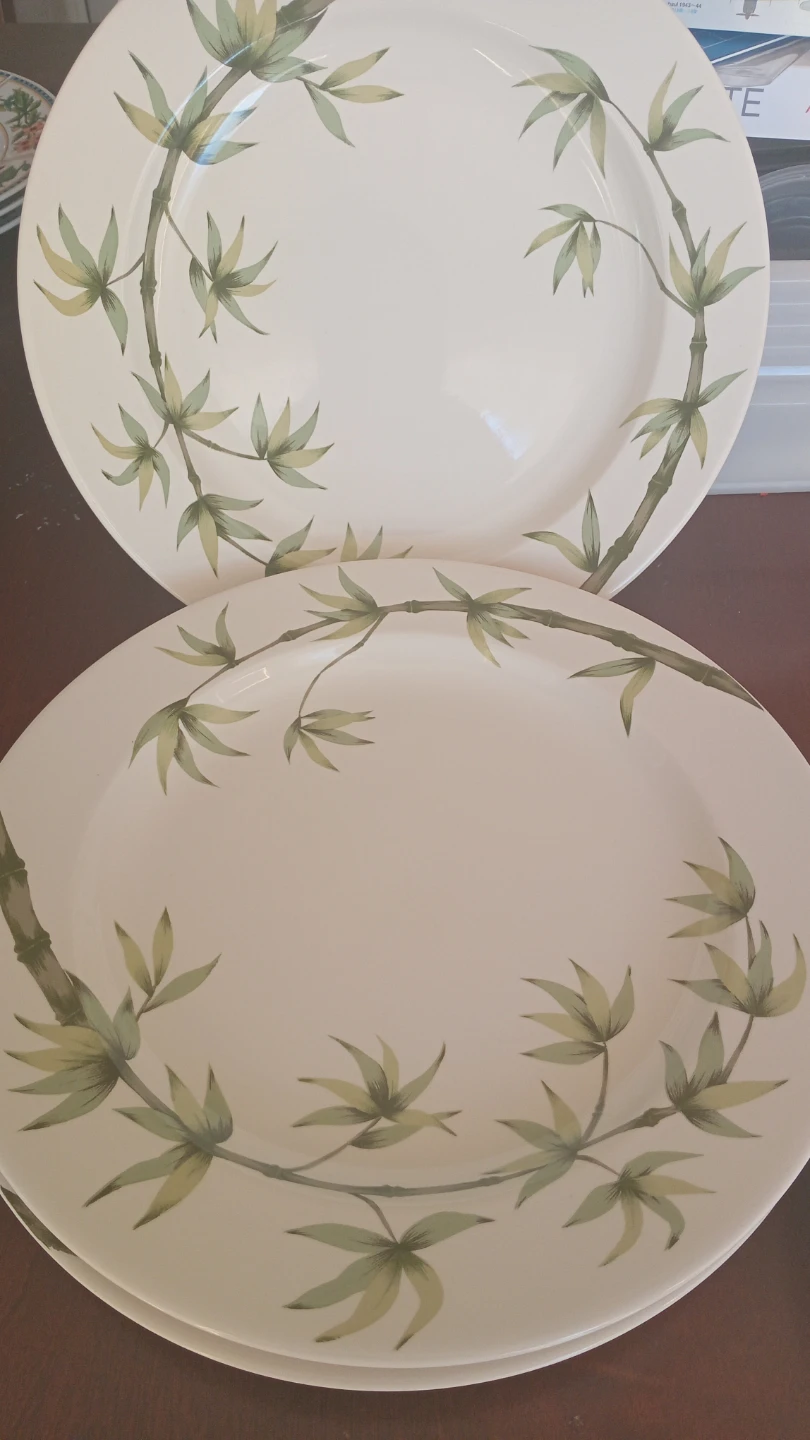 Set of 6 Dinner Plates with Bamboo Design "🏆" - photo 2