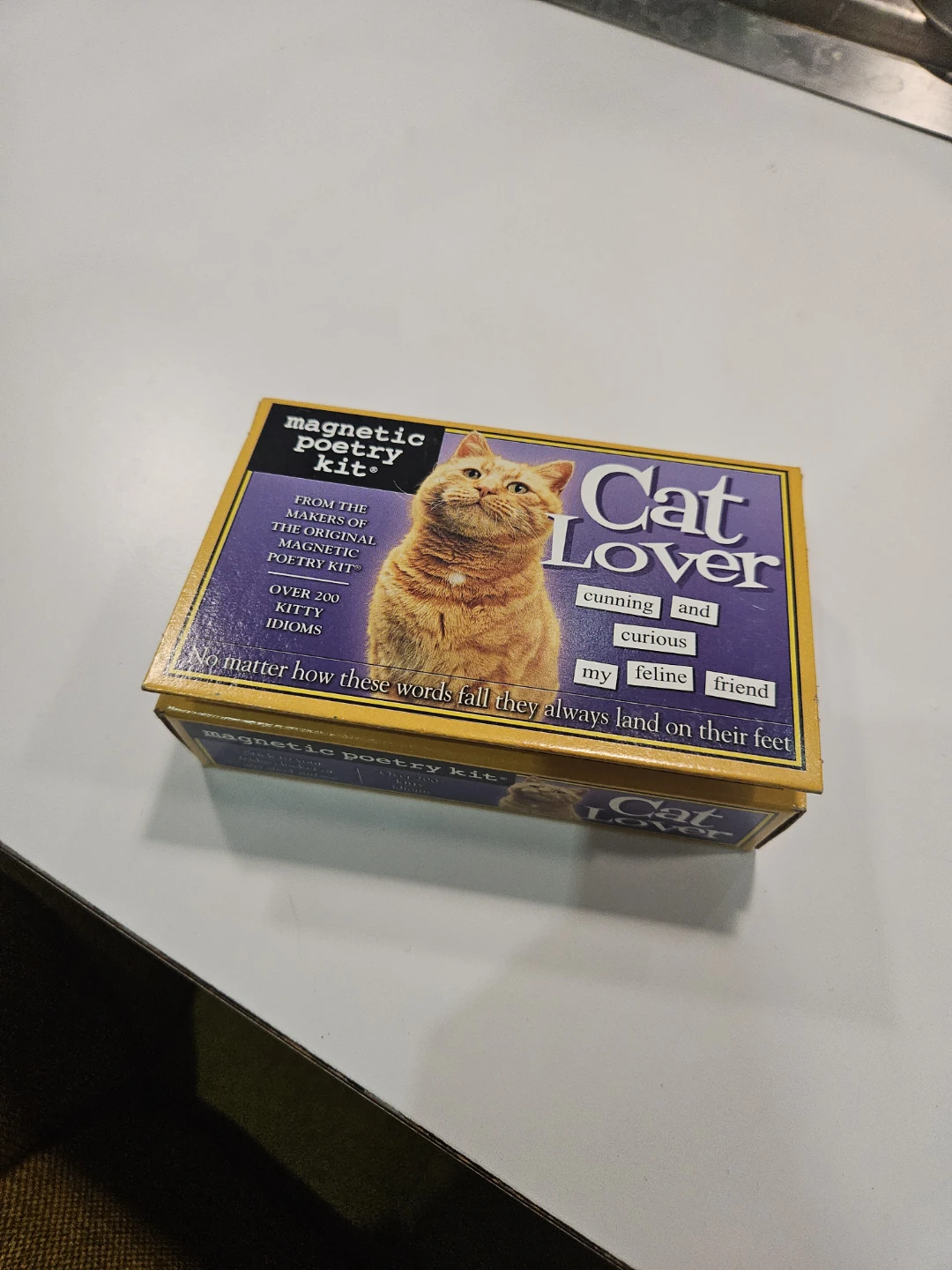 Cat Lover fridge poetry magnet set