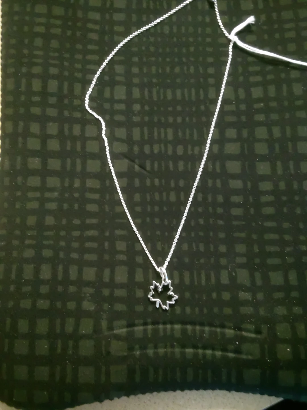 Pandora 925 Silver Necklace with charm