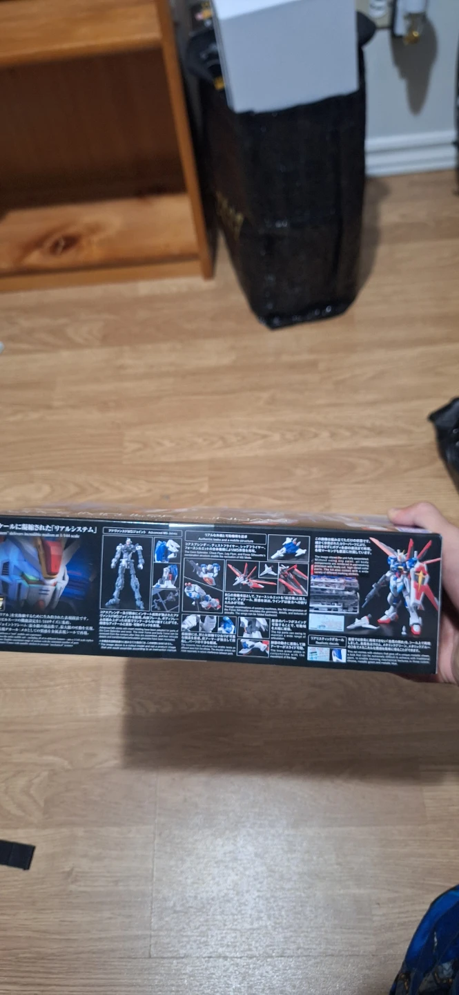 RG Force Impulse Gundam Model Kit - photo 2