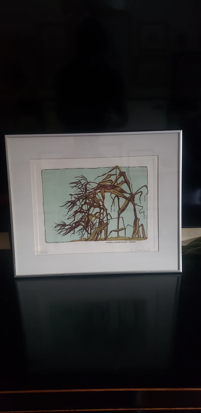 Limited Edition Print - Markham, Snowville Hospital