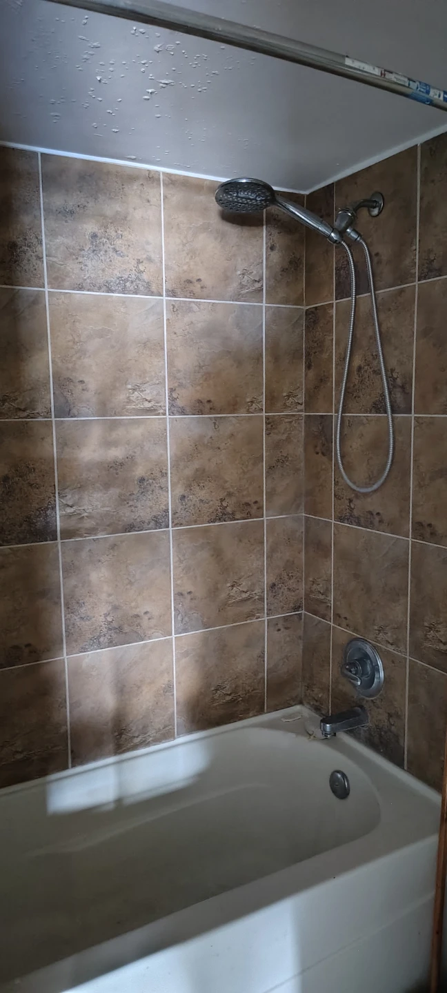 Rentals - photo 5