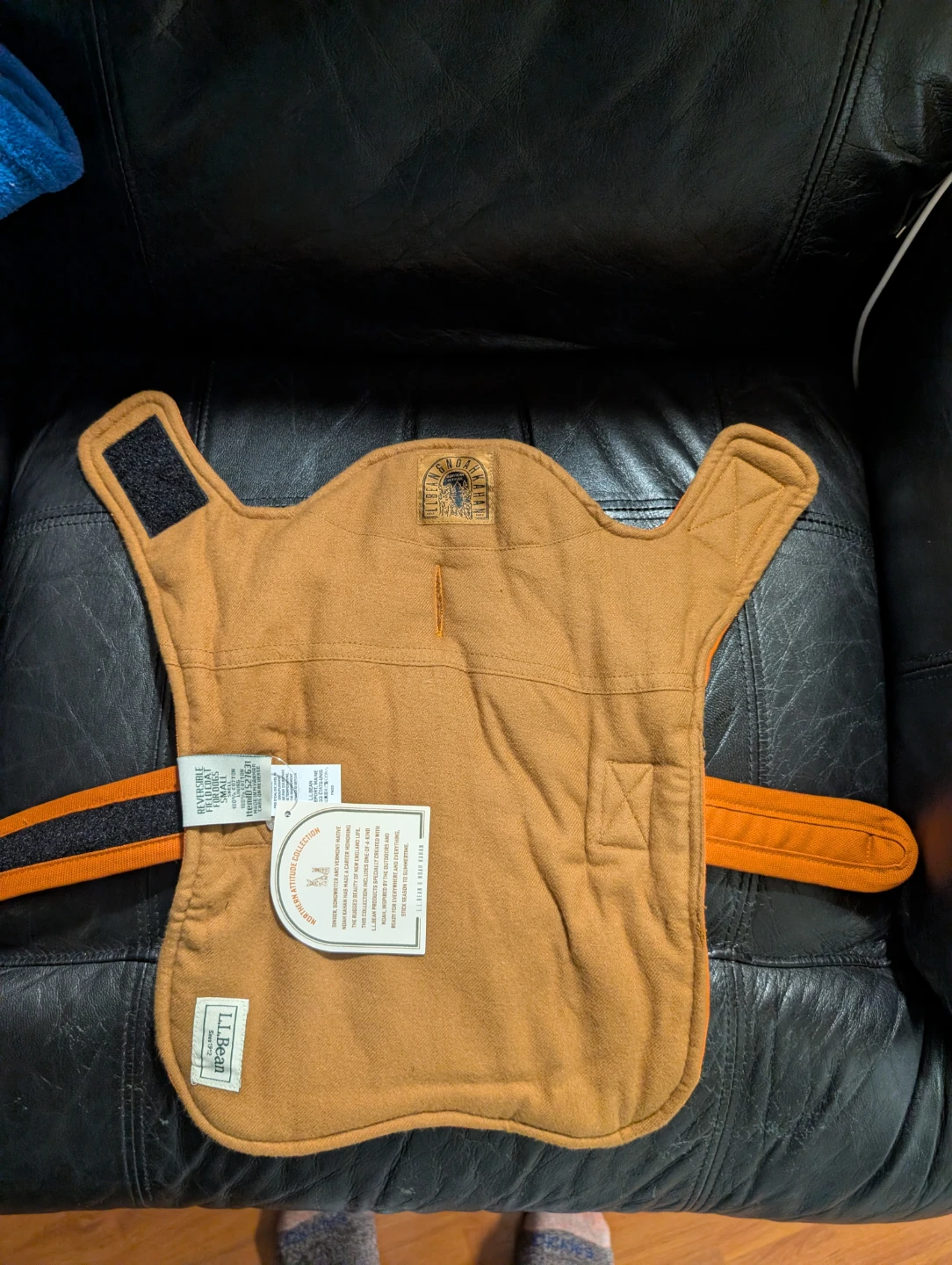 L.L.Bean x Noah Kahan Reversible Field Coat for Dogs - photo 3