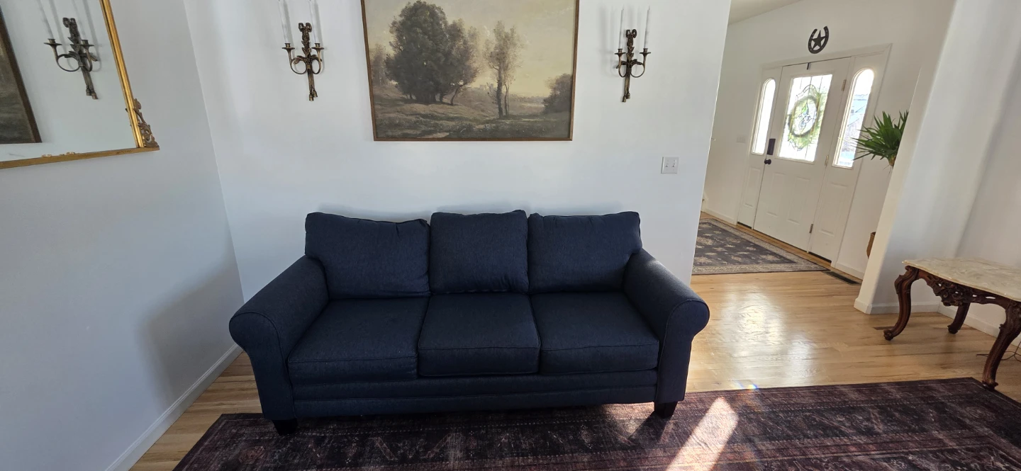 2 Dark Blue Sofa