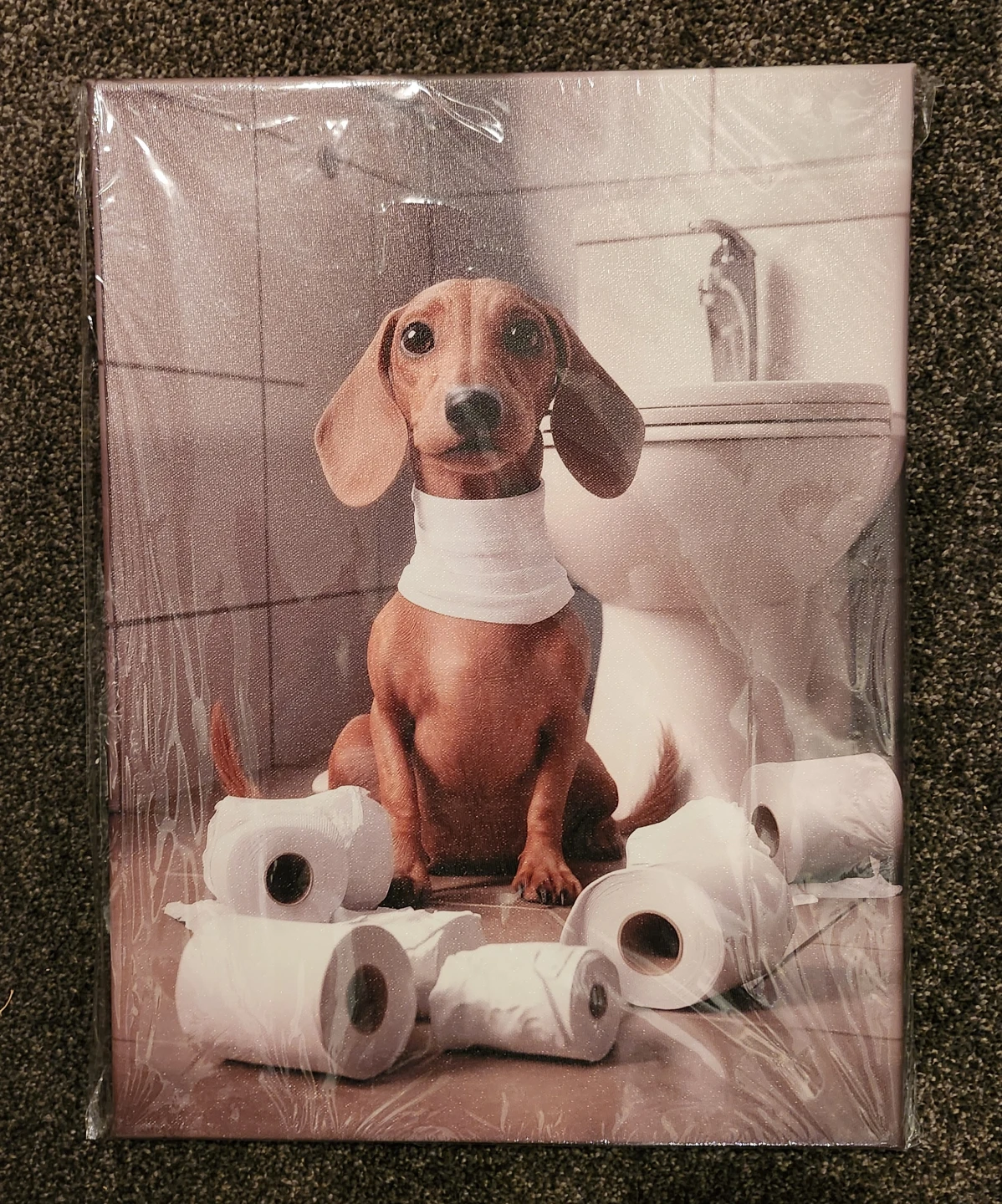 Dachshund Dog Toilet Paper Canvas Wall Art 30x40
