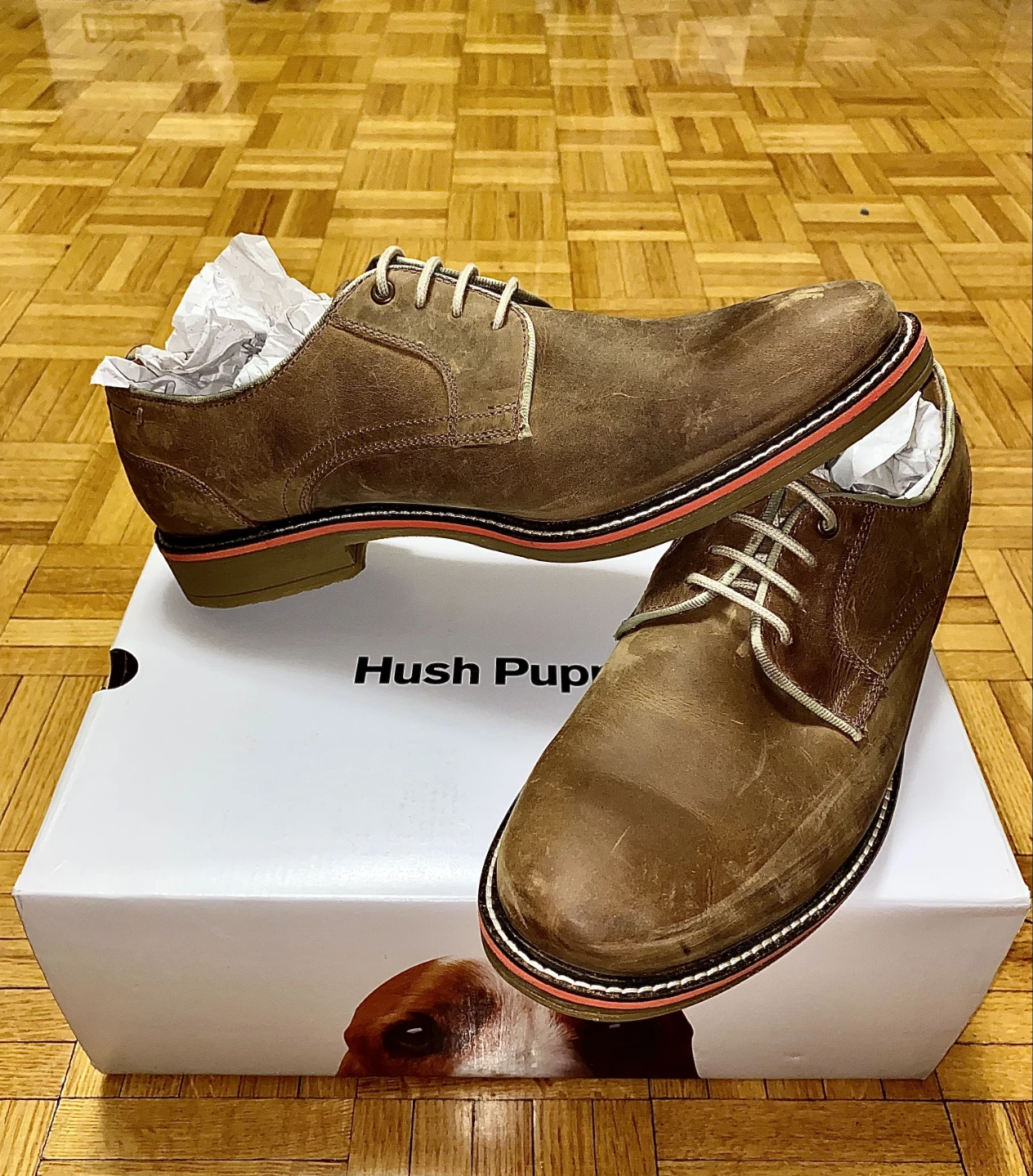 Hush Puppies Mens Giles Pt Oxford. Size: 11 - New in Box!!🏆 - photo 2