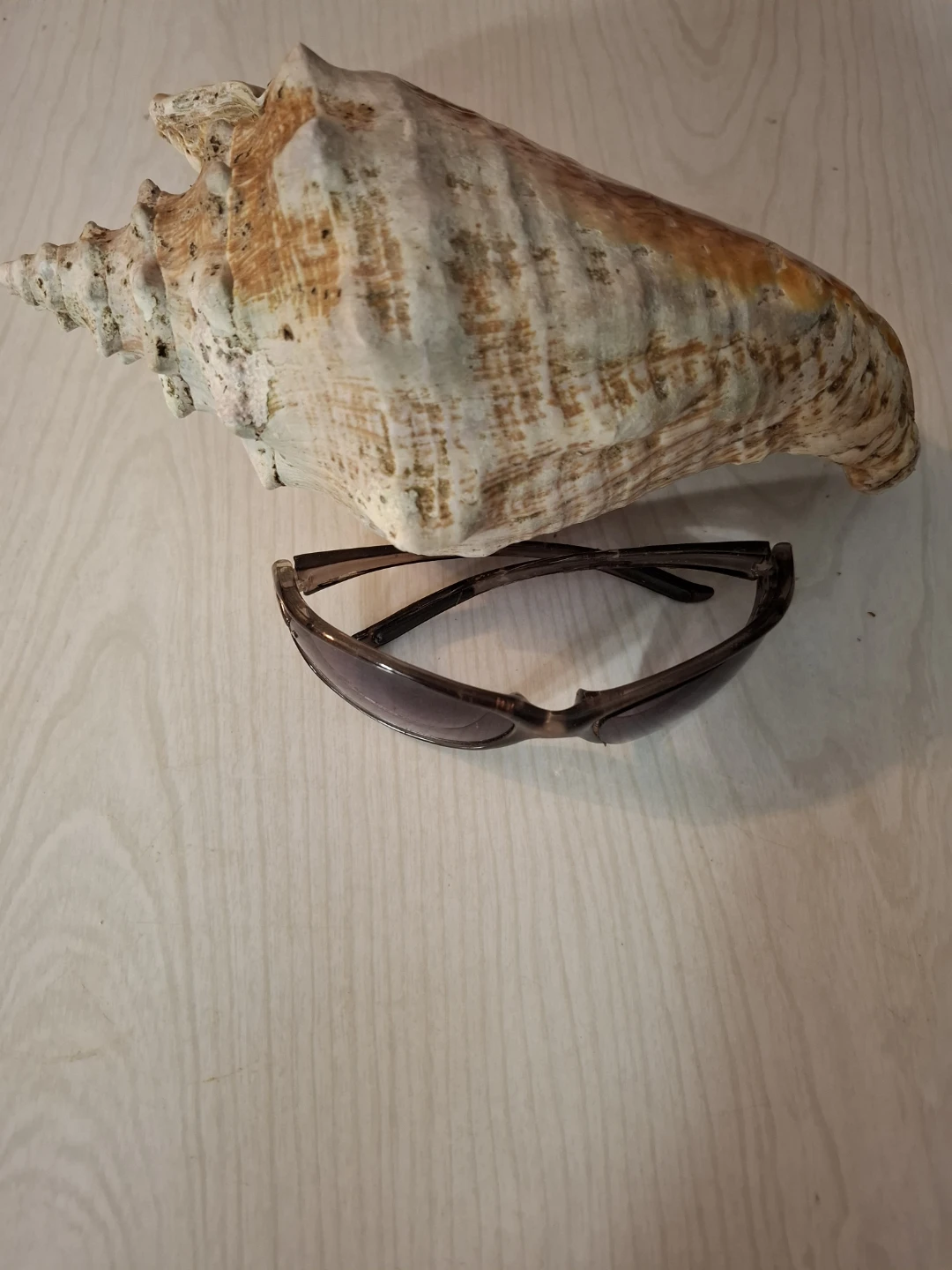 Large Conch Shell - photo 3