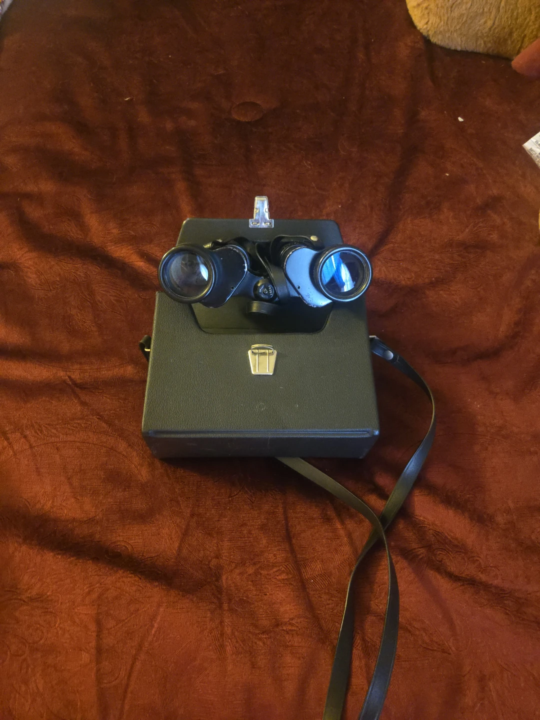 Vintage Bushnell Binoculars with Case