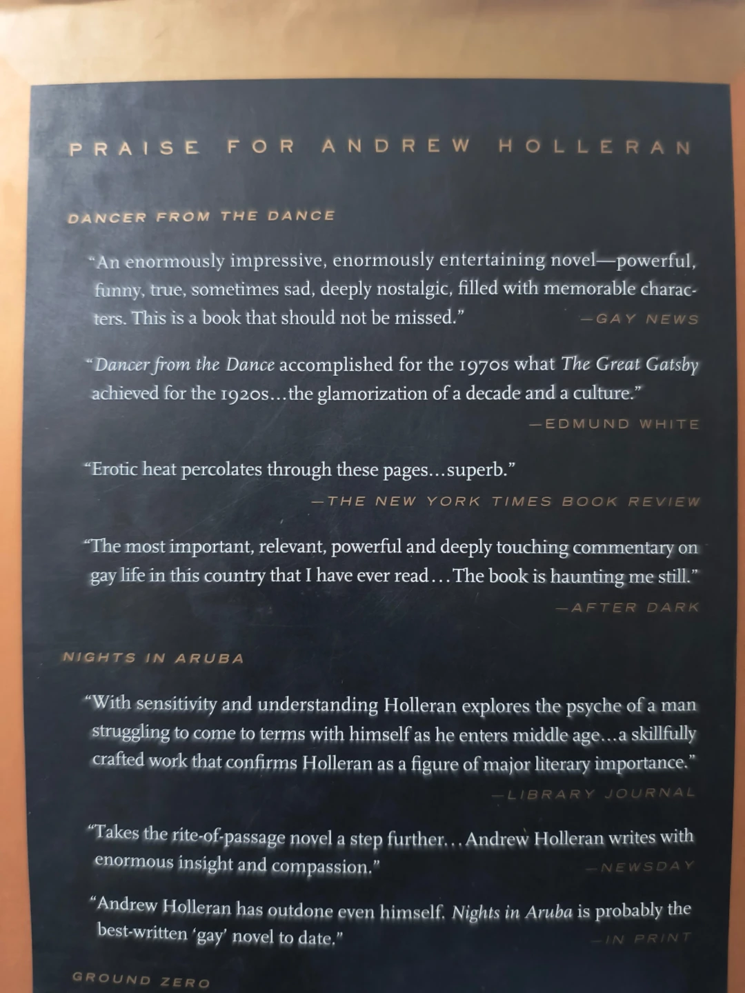 The Beauty of Men by Andrew Holleran (Novel) - photo 3