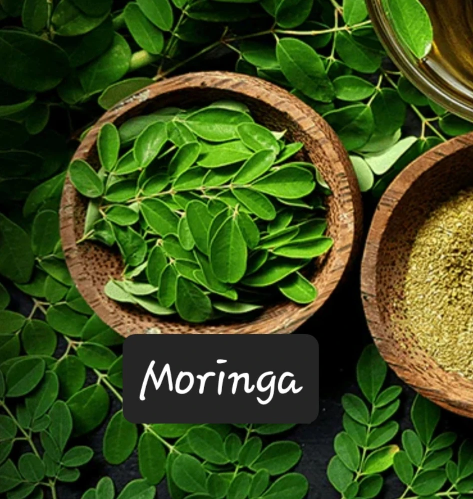 Vita Bella 9 in 1 Moringa Drink Mix - 10 Sachets - photo 4