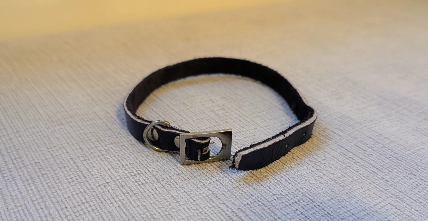 Navy Blue Leather Small Collar with Silver Buckle