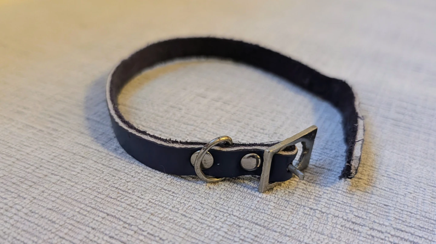 Navy Blue Leather Small Collar with Silver Buckle - photo 2