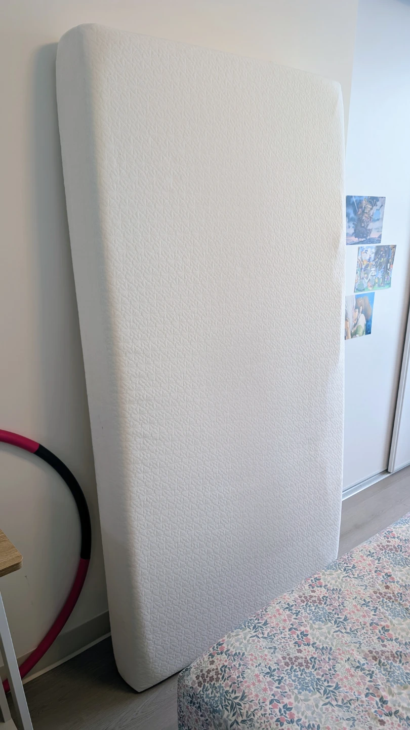 Twin Mattress and Mattress protector
