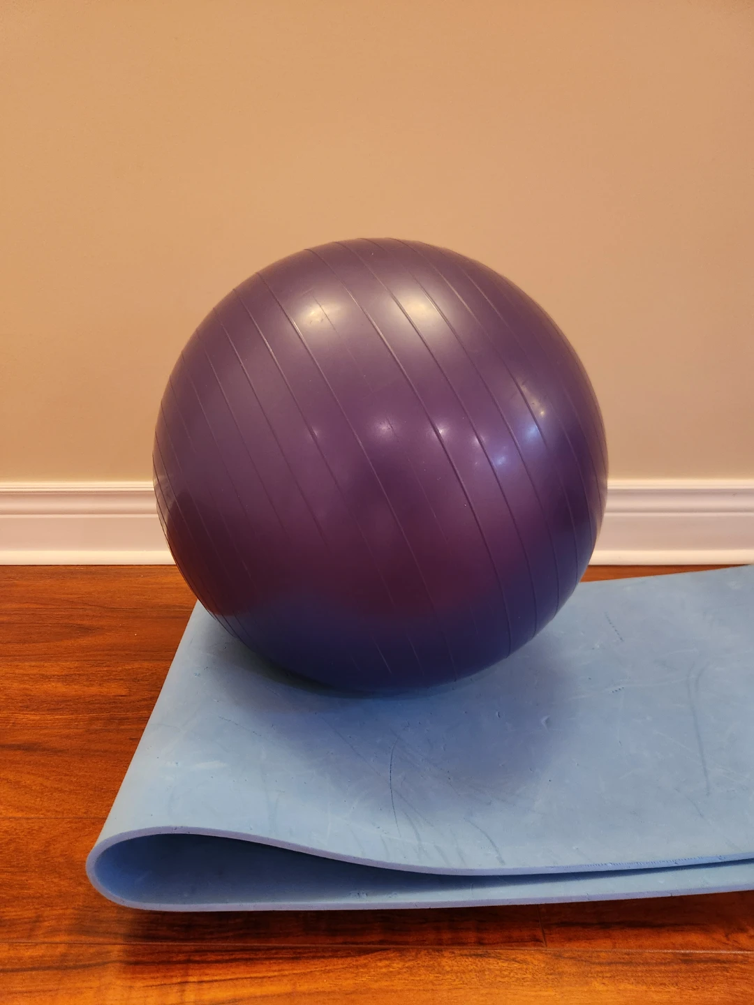 Exercise ball and Double Action Pump - photo 2