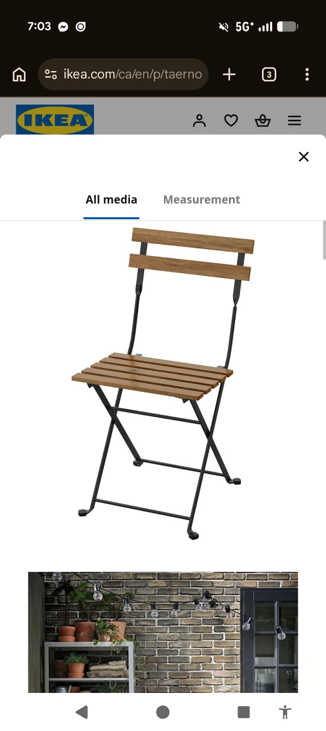 IKEA TÄRNÖ Outdoor Chairs