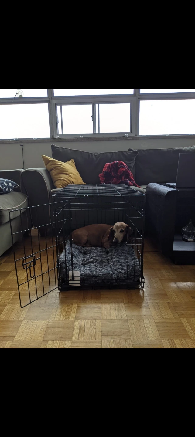 Folding Dog Crate - photo 2
