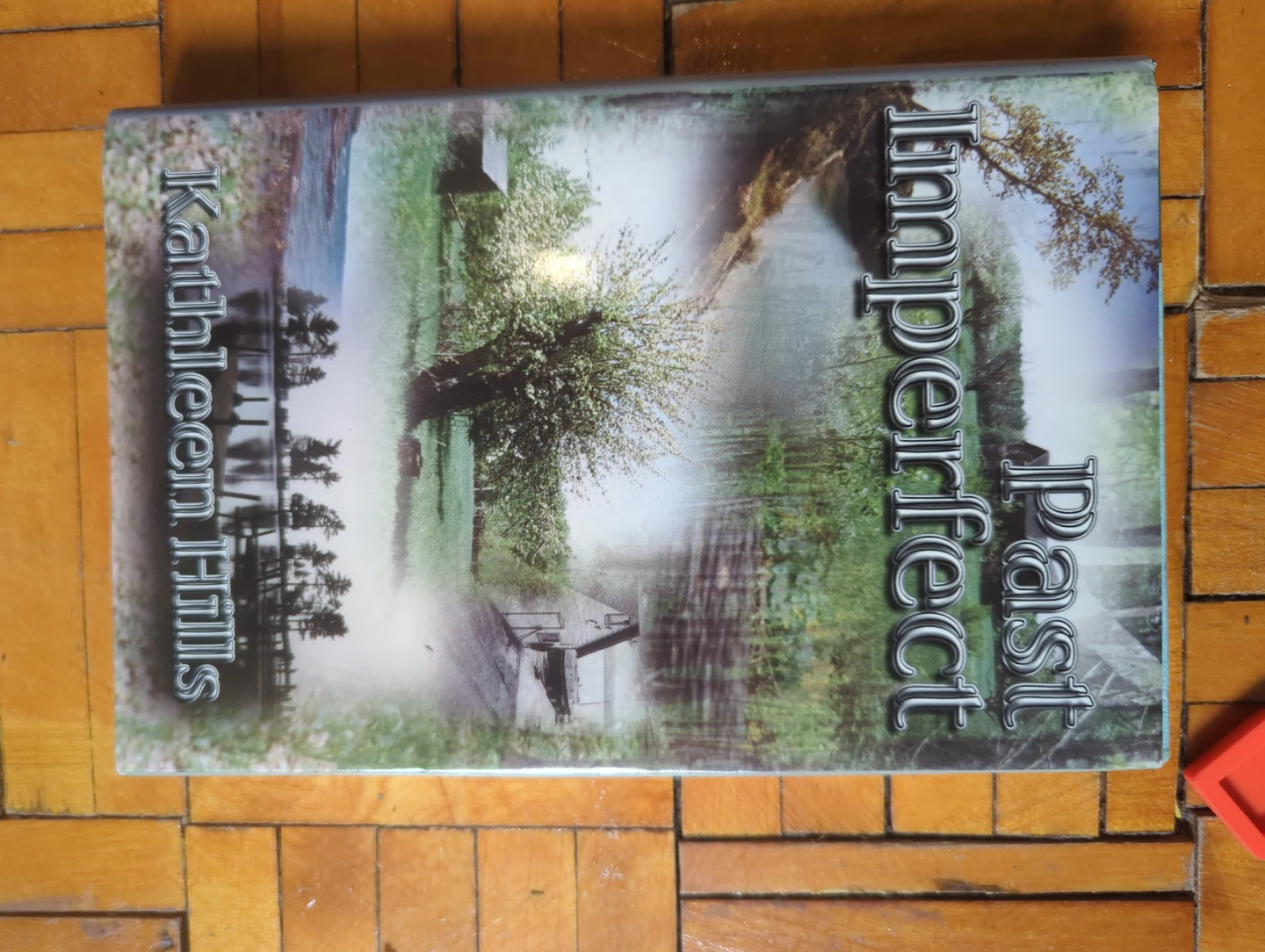 Past Imperfect by Kathleen Hills Book