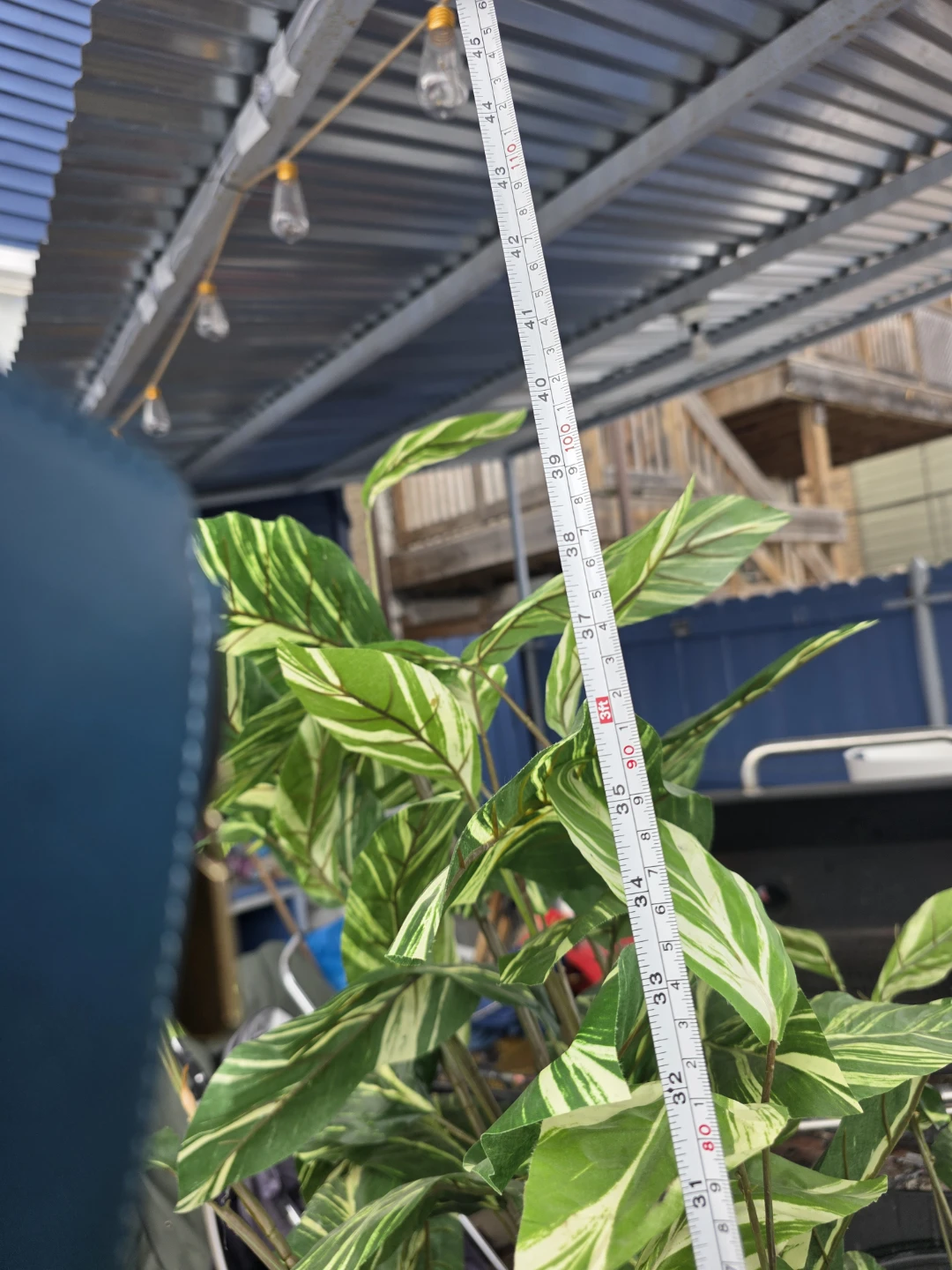 Large Potted Tropical Plant - photo 5
