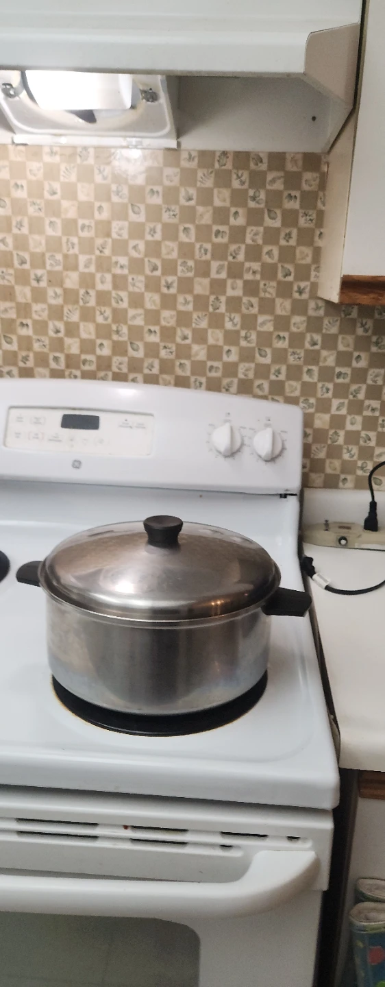 Stainless Steel Stock Pot with Lid