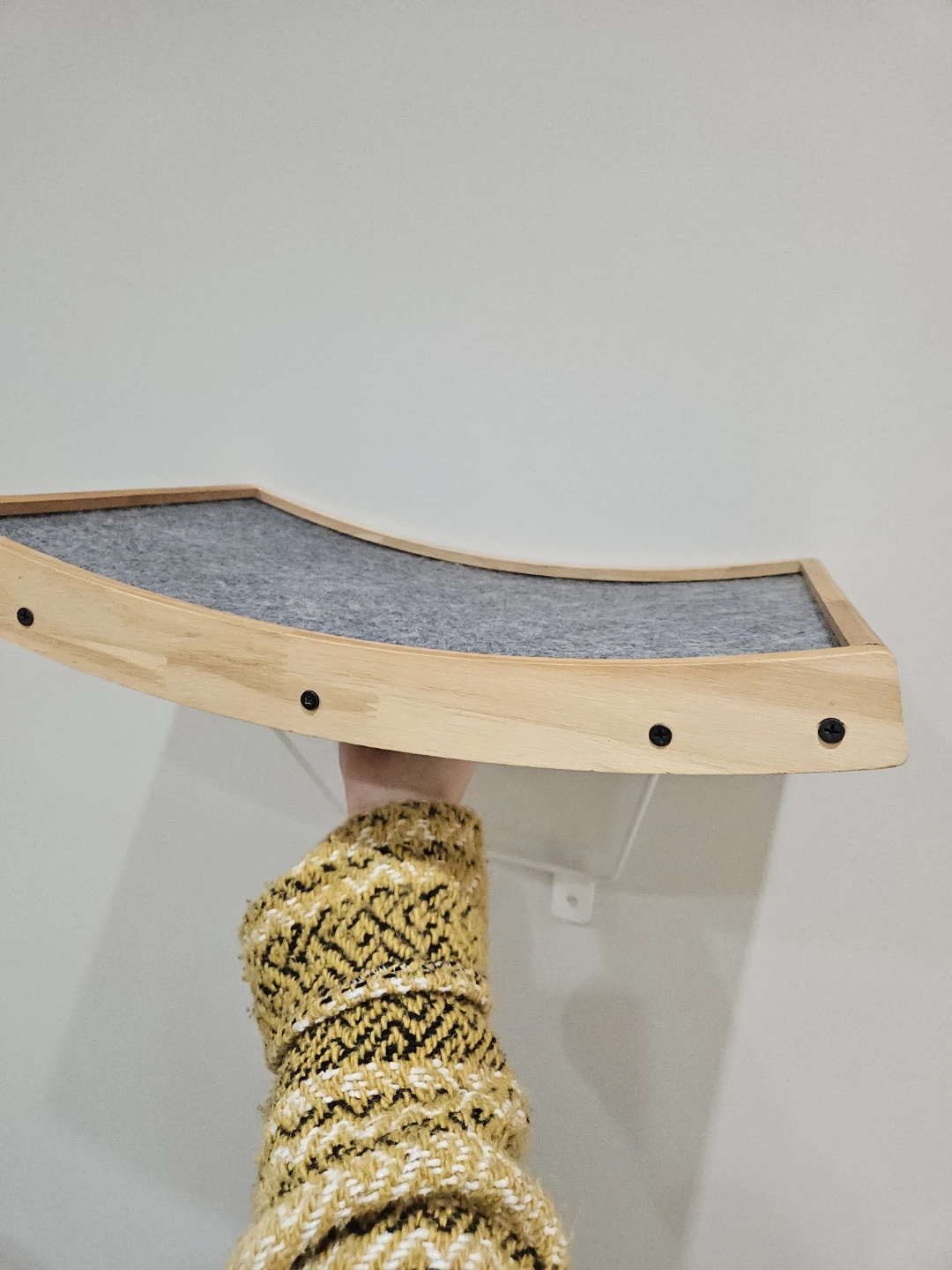 Cat shelf (wall mounted)