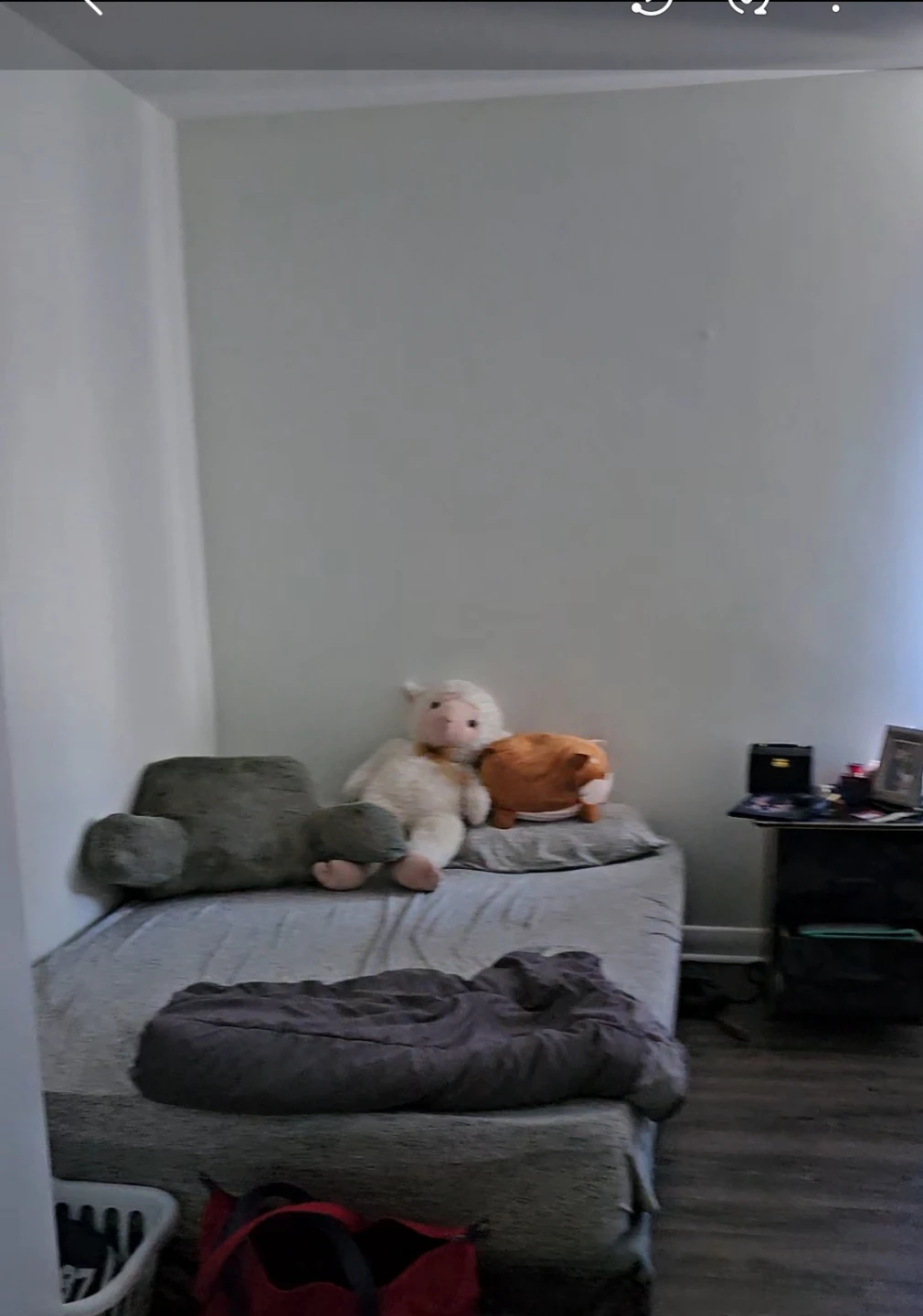 Shared room female only