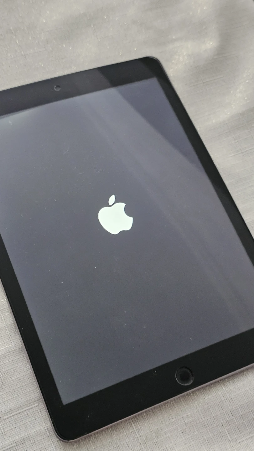 Apple iPad Mini 2