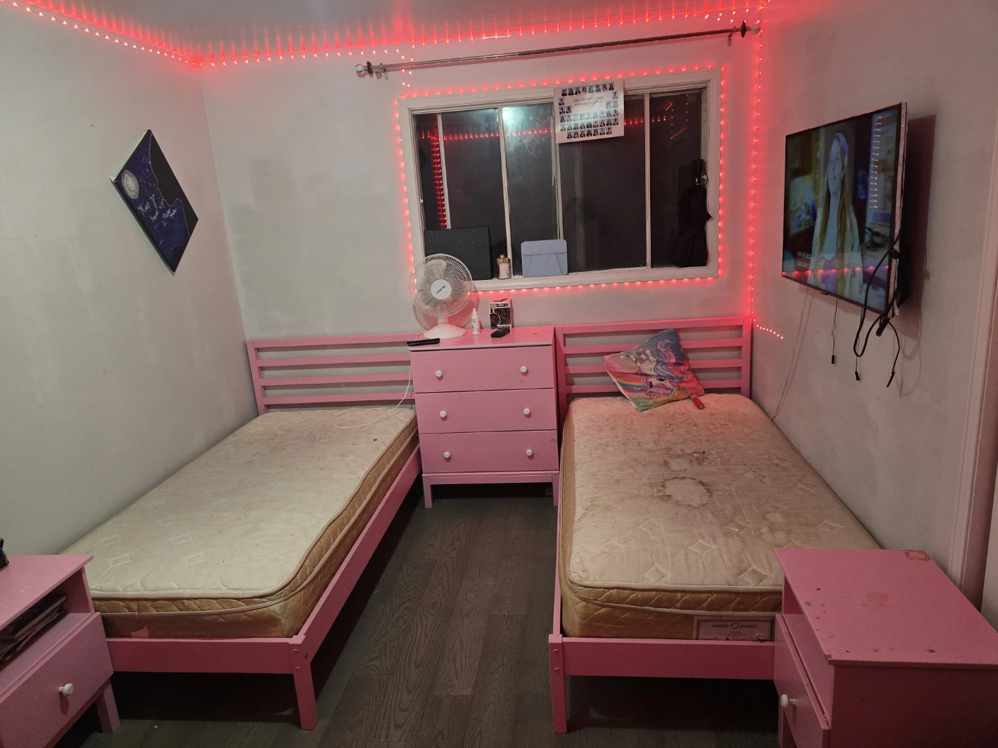 Two Pink Twin Beds with Mattresses
