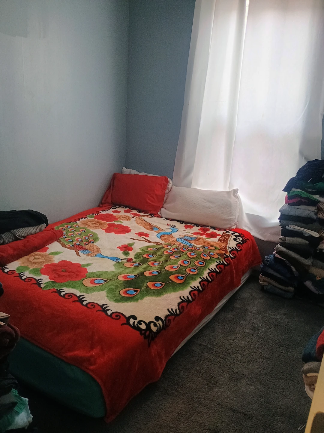 OLAM CLEANING SERVICE - photo 2