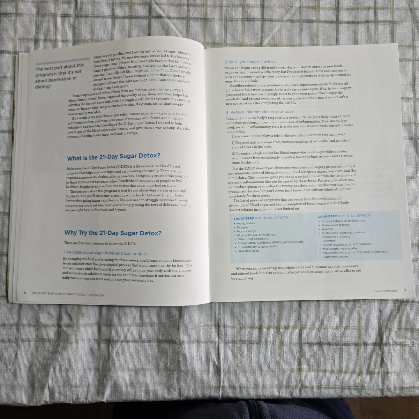 The 21-Day Sugar Detox Daily Guide Book by Diane Sanfillippo - photo 4