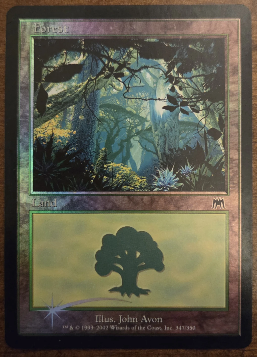 Onslaught Forest Card Foil Magic the Gathering Card