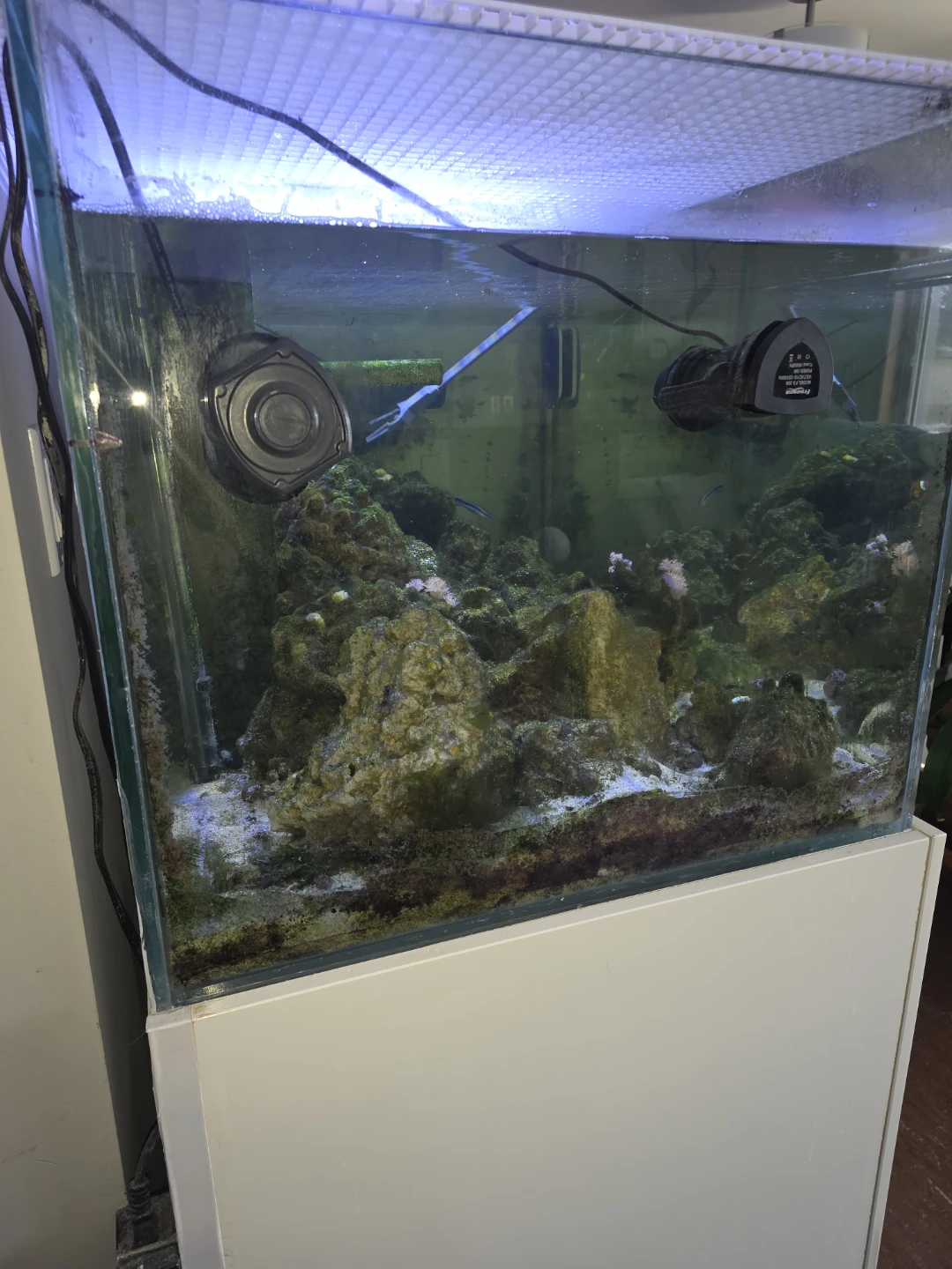 Saltwater Aquarium Tank with Stand