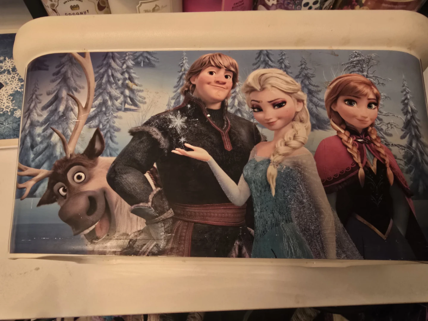Disney Frozen Storage Bin
