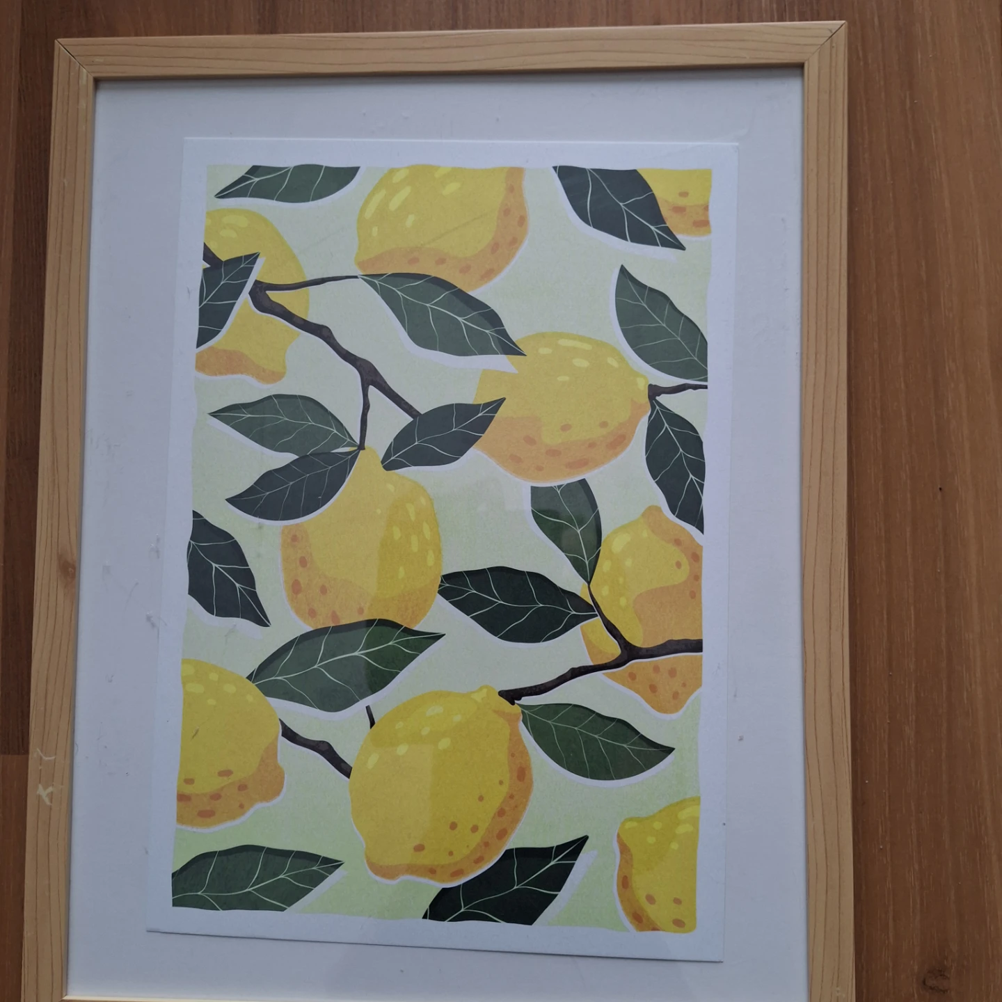 Framed Citrus Fruit Art Prints (Oranges & Lemons) - photo 3