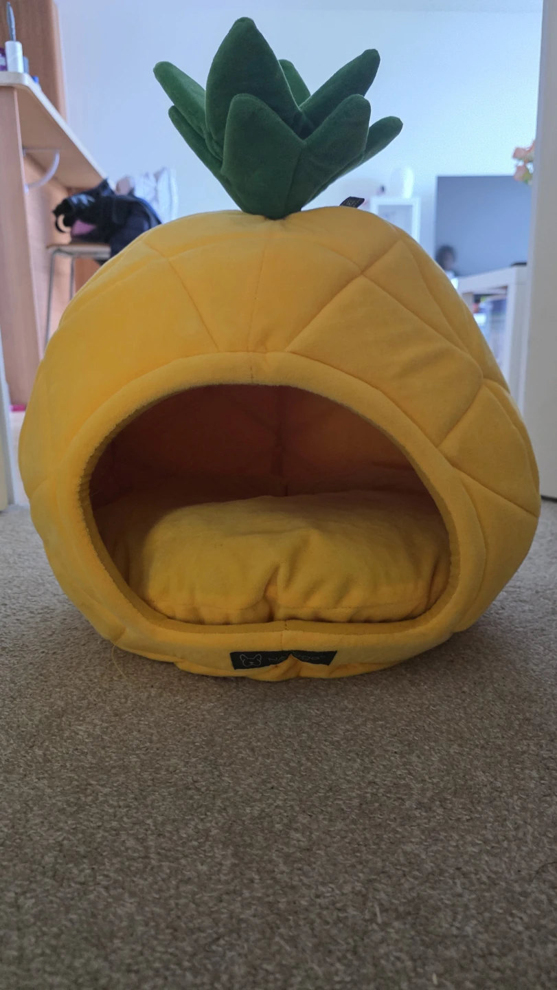 Pineapple Pet Bed