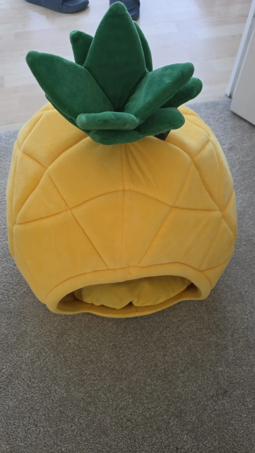 Pineapple Pet Bed - photo 2