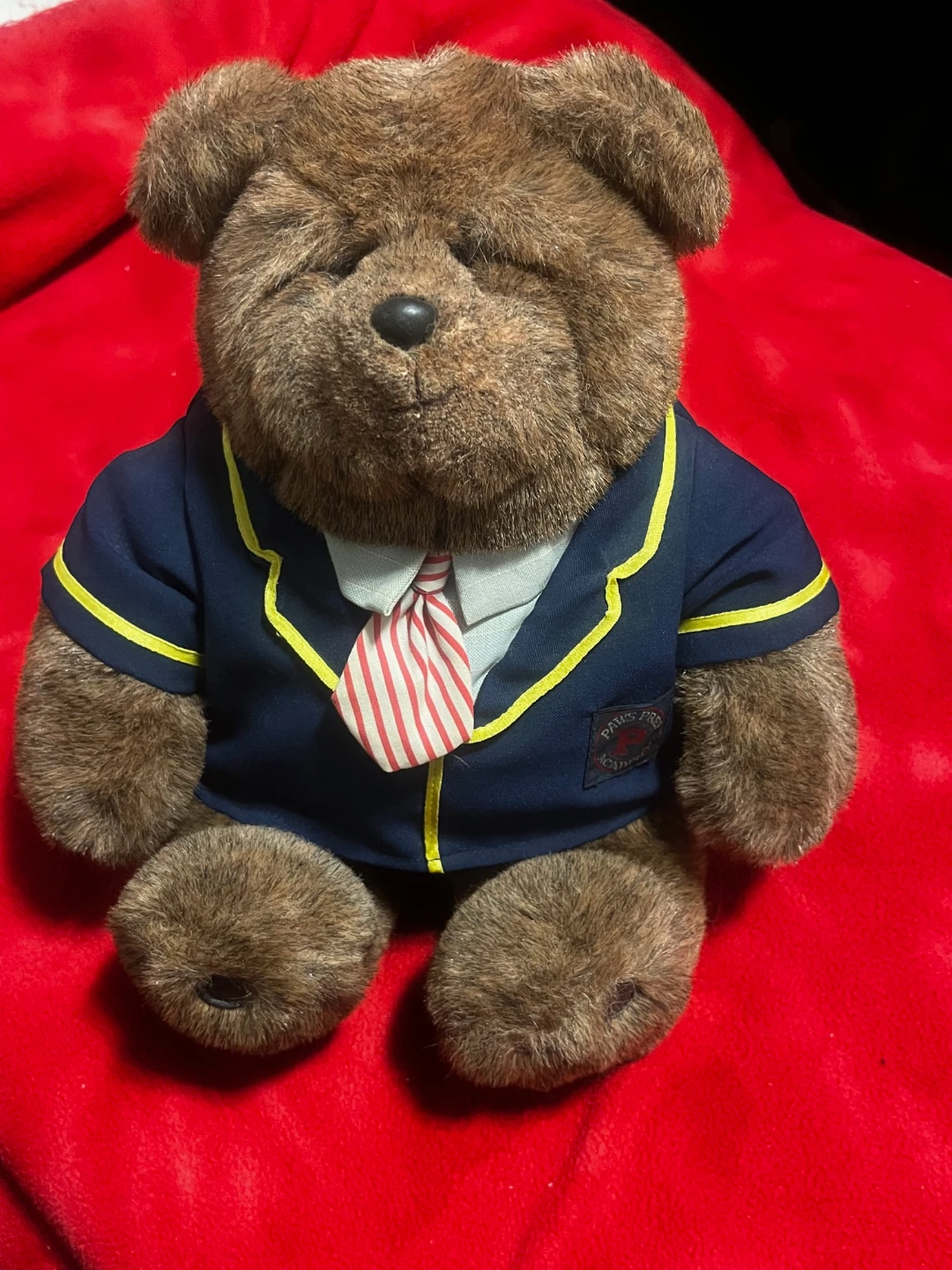 Gund “Paws Academy” teddy bear (Don Mills+Eglinton)