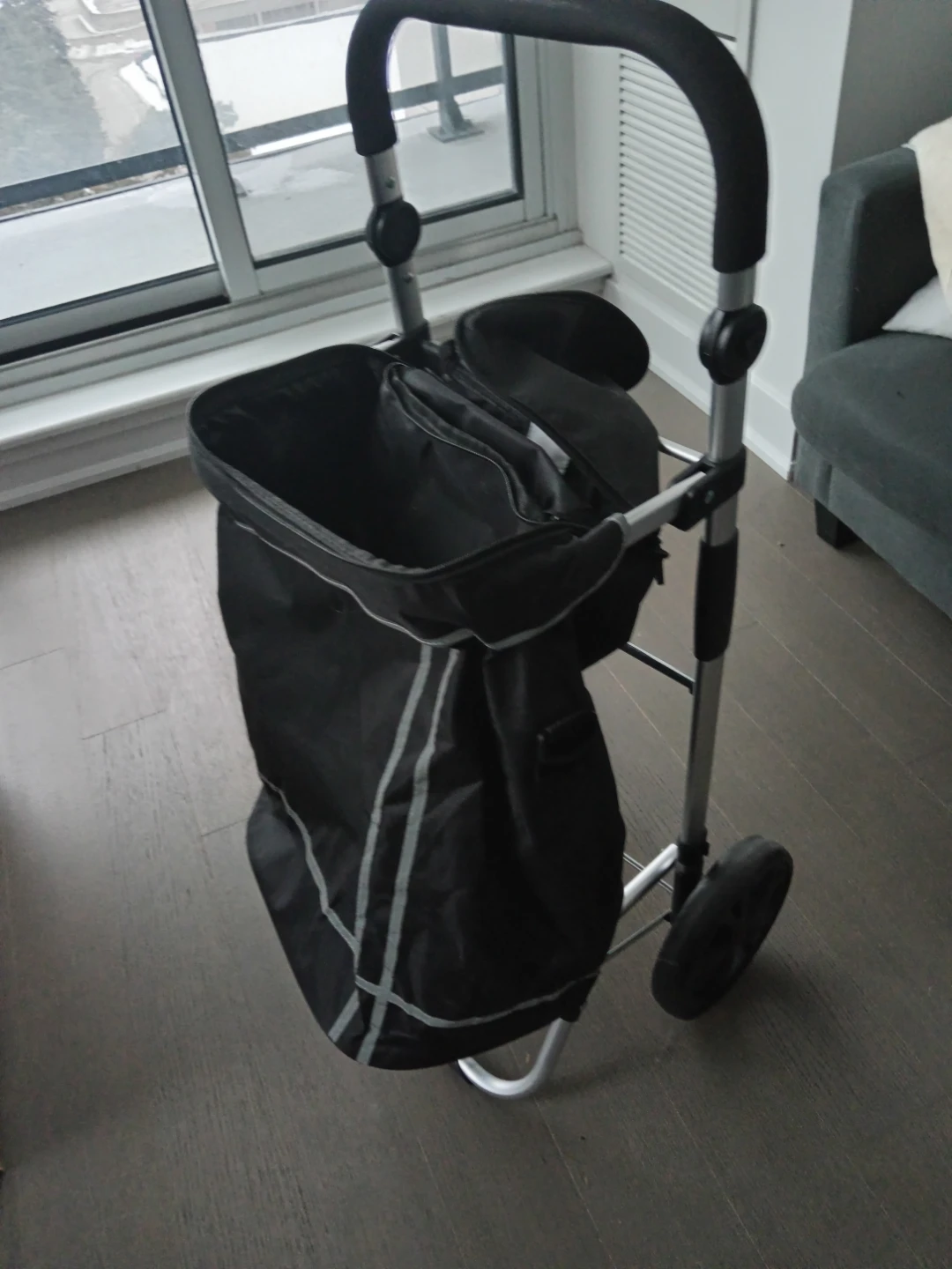 Compact Shopping Cart with Insulated Bag