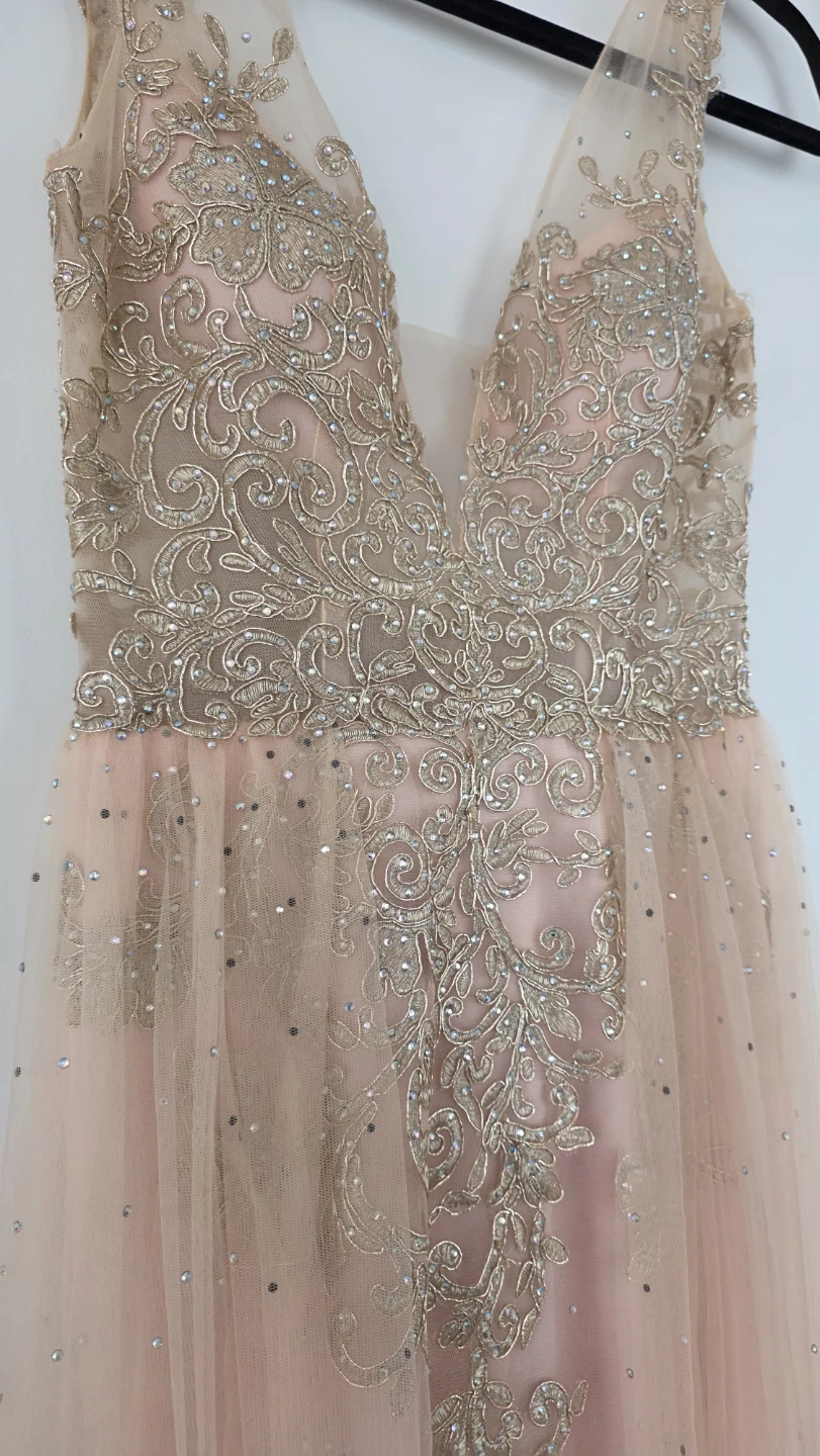 Pink Beaded Tulle Gown from the Bay (size 4)