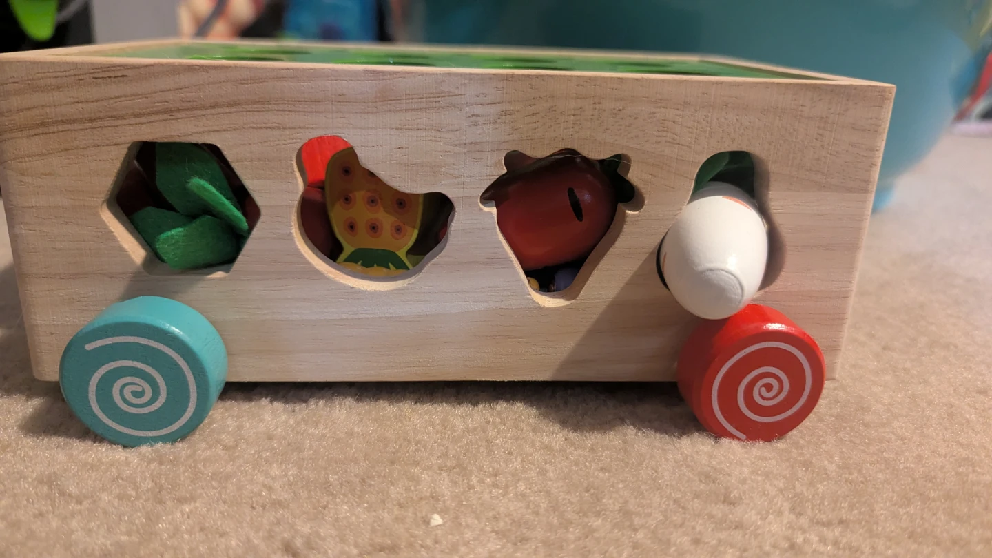 Wooden Harvest Carrot Shape Sorter Toy - photo 3